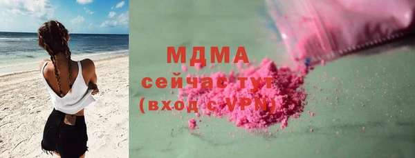 прущие грибы Надым
