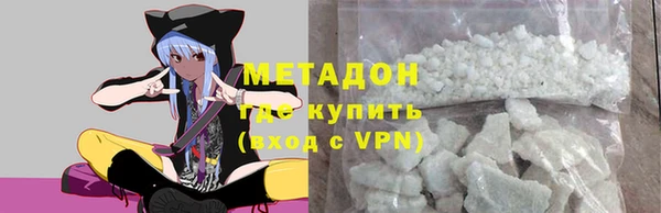 прущие грибы Надым