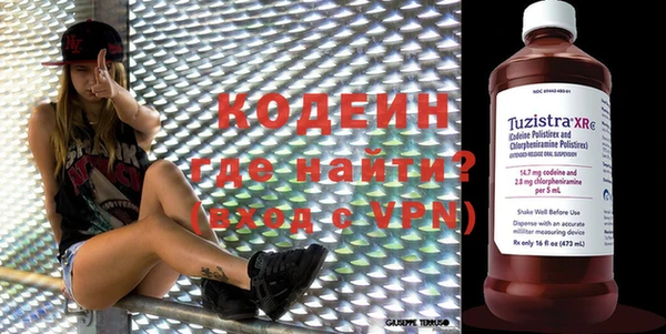 прущие грибы Надым