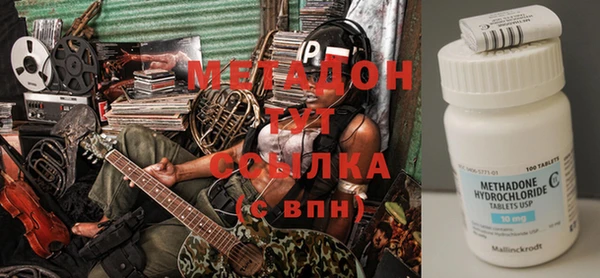 прущие грибы Надым