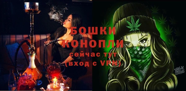 гидра Михайловск
