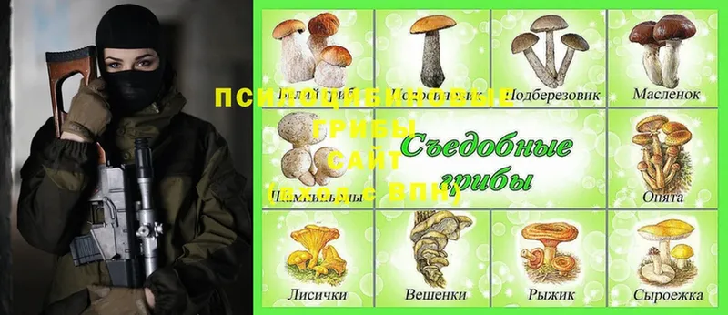 Псилоцибиновые грибы Cubensis  кракен онион  Любань  где продают наркотики 